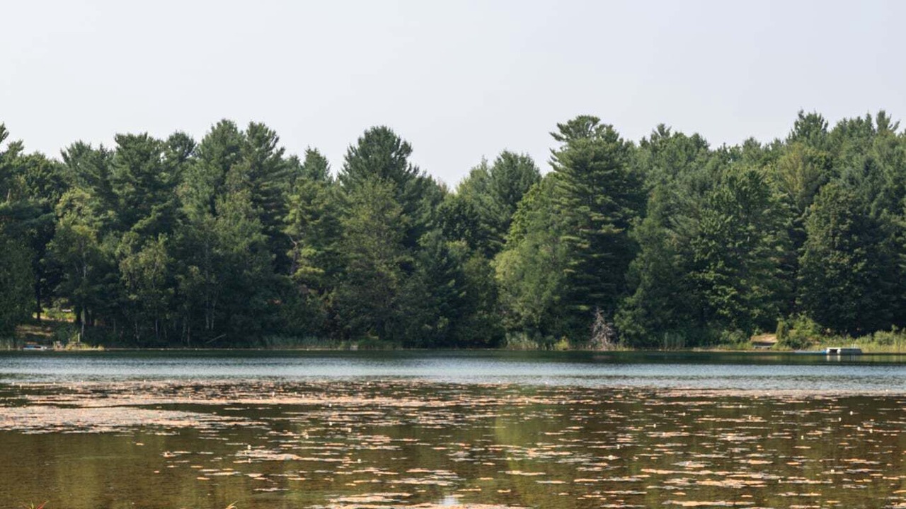 Photo of Others in Interlochen