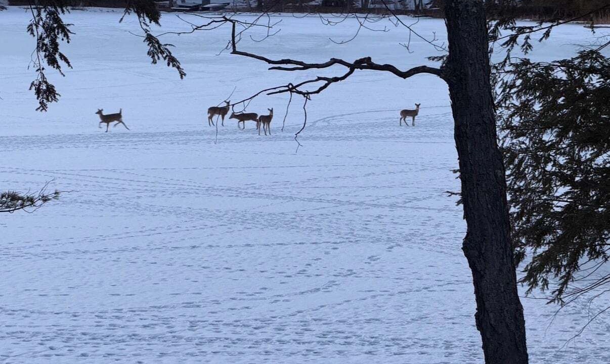 Photo of Others in Interlochen