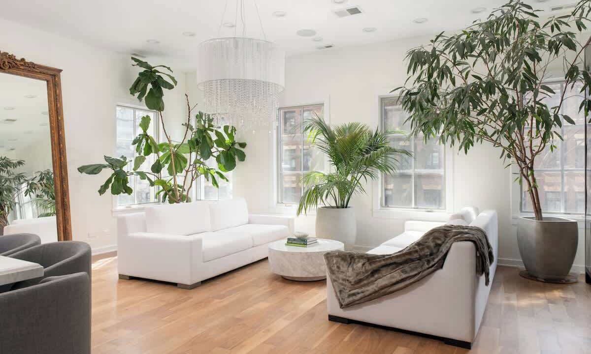 Photo of Livingroom in Gold Coast