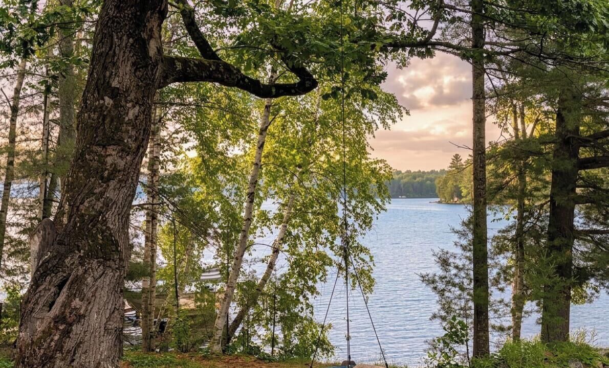 Photo of Others in Manitowish Waters