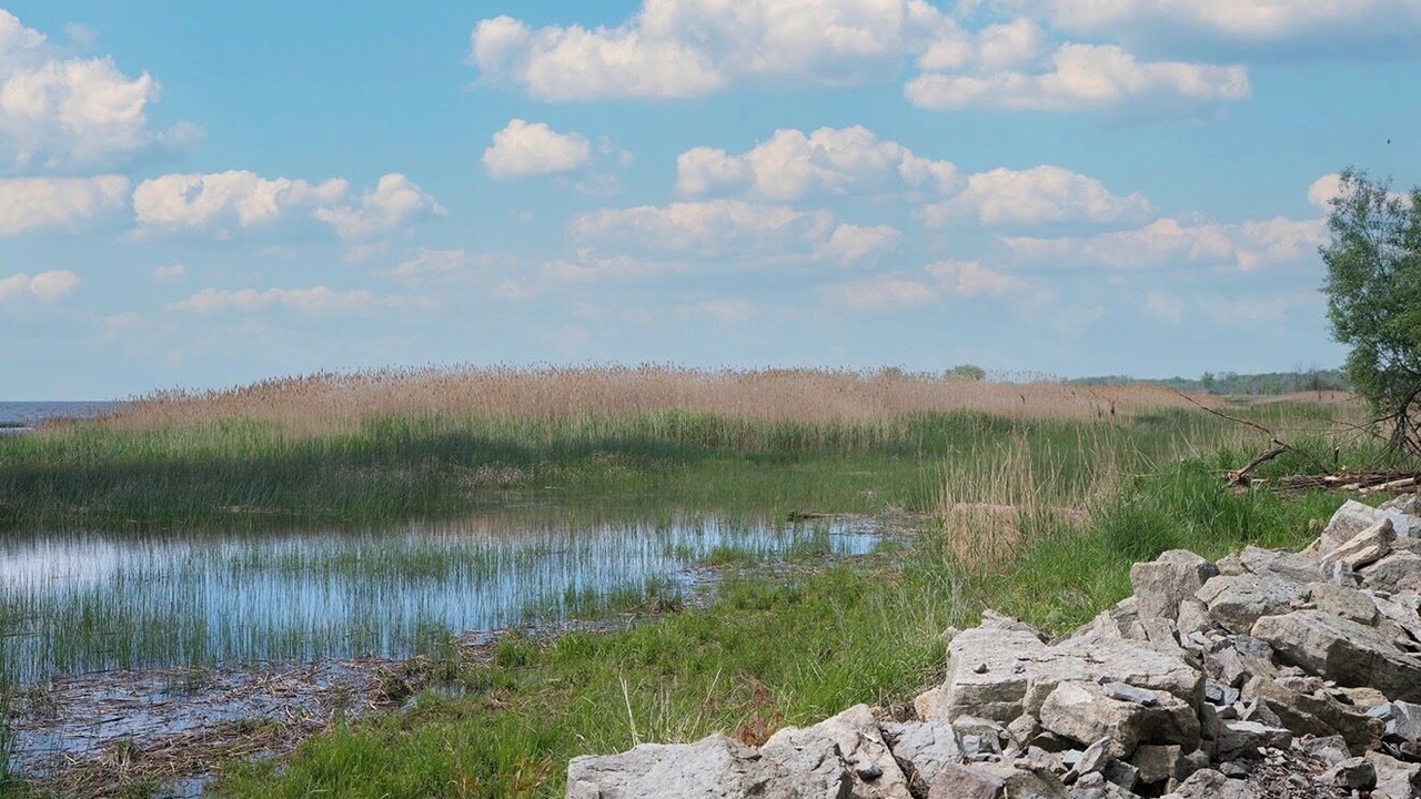 Photo of Others in Oconto
