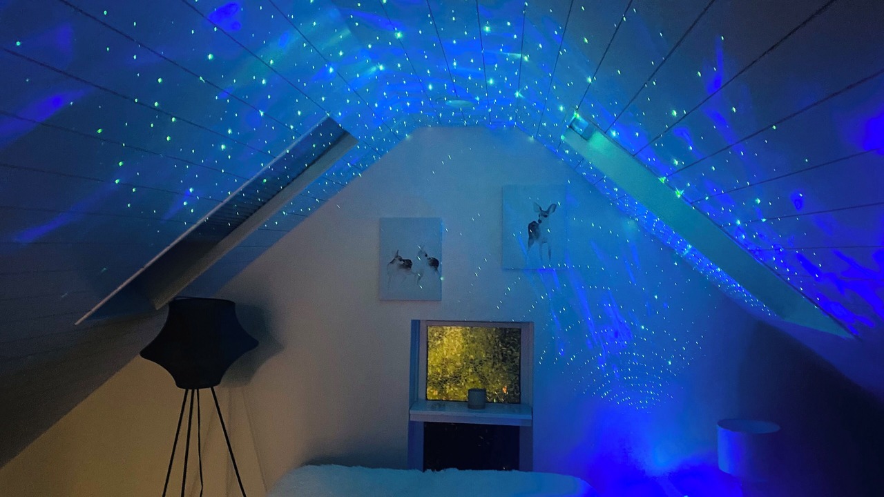 Photo of Bedroom in Wicker Park