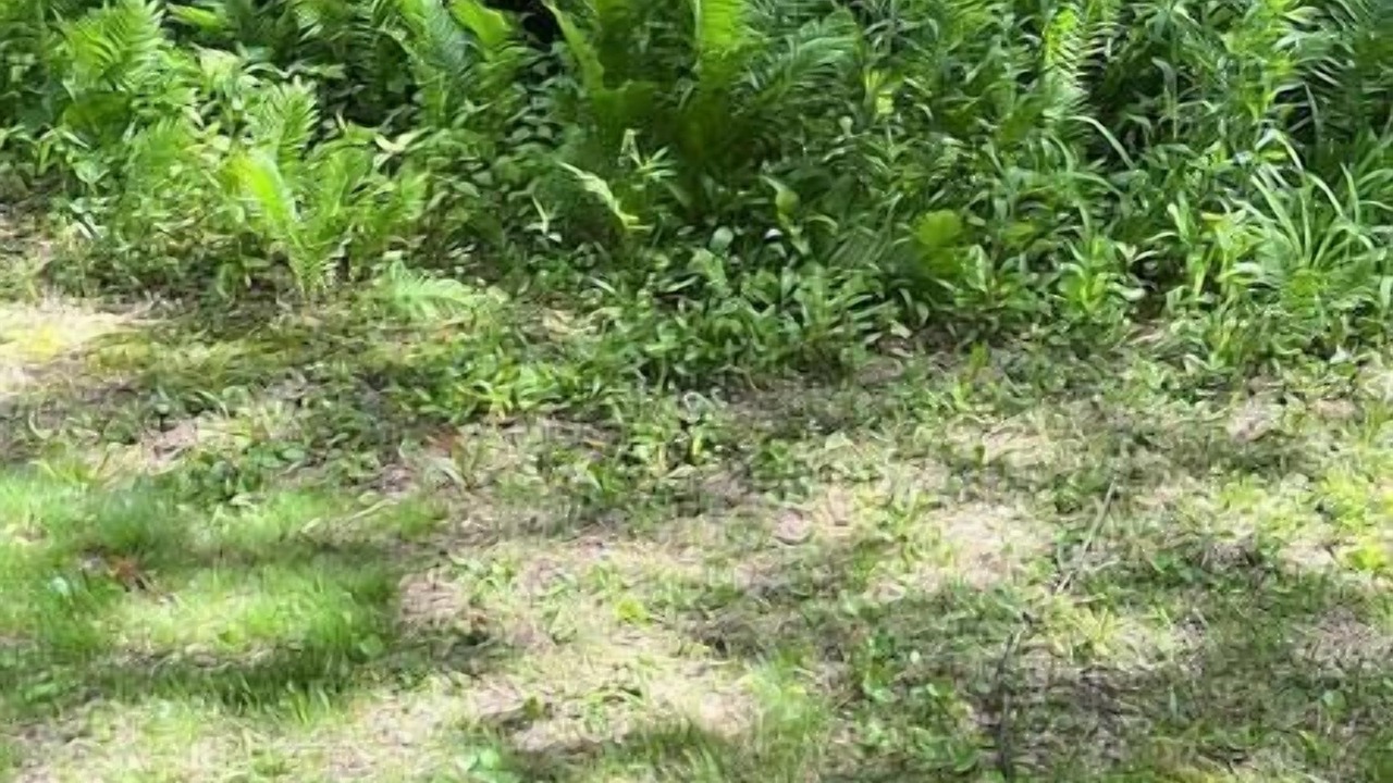 Photo of Outdoor in Rockford
