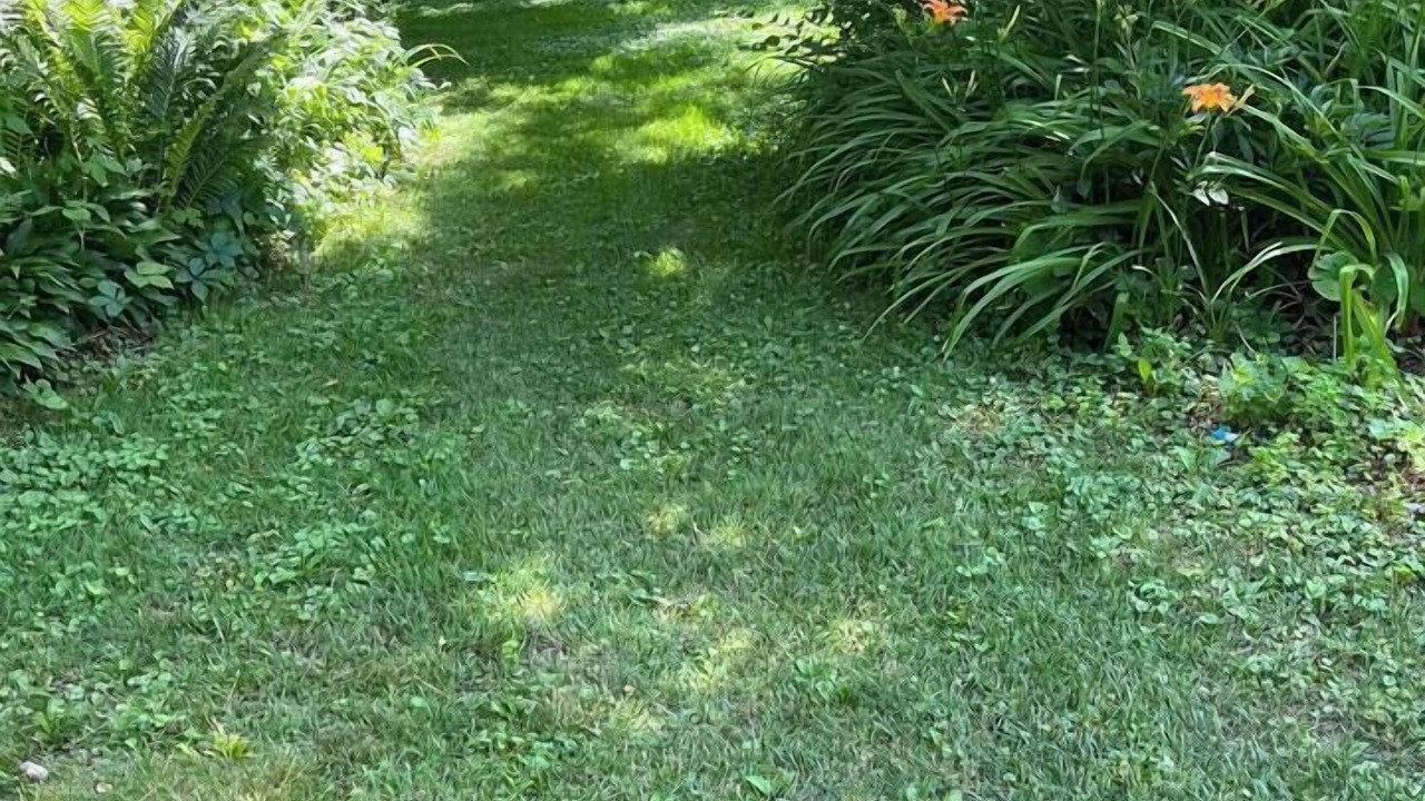 Photo of Outdoor in Rockford