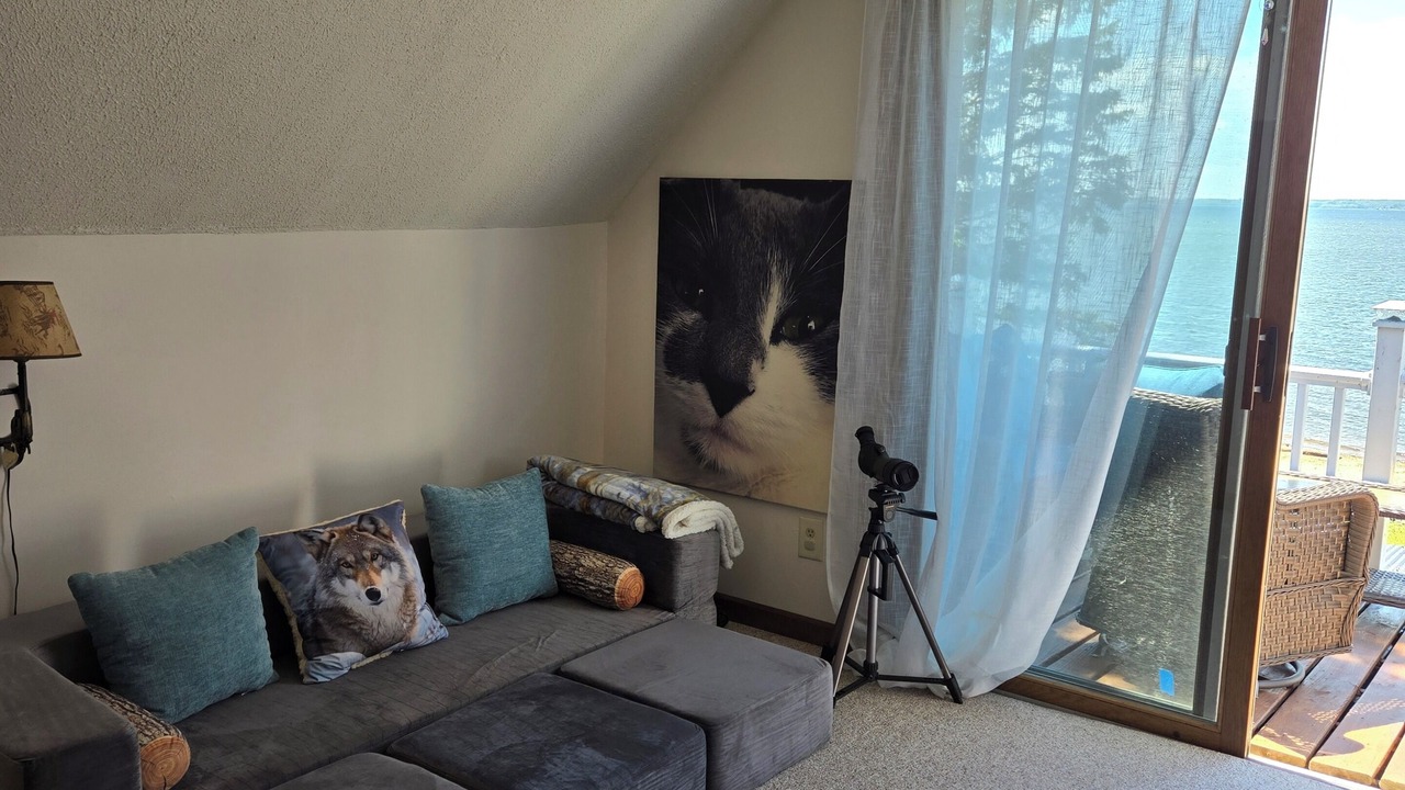 Photo of Livingroom in Escanaba