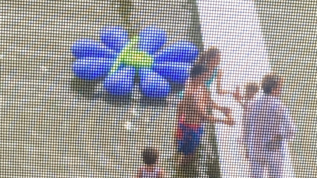 Photo of Outdoor in Newaygo