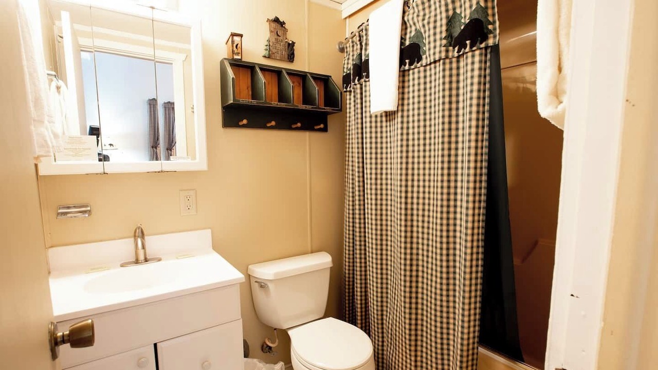Photo of Bathroom in Bessemer