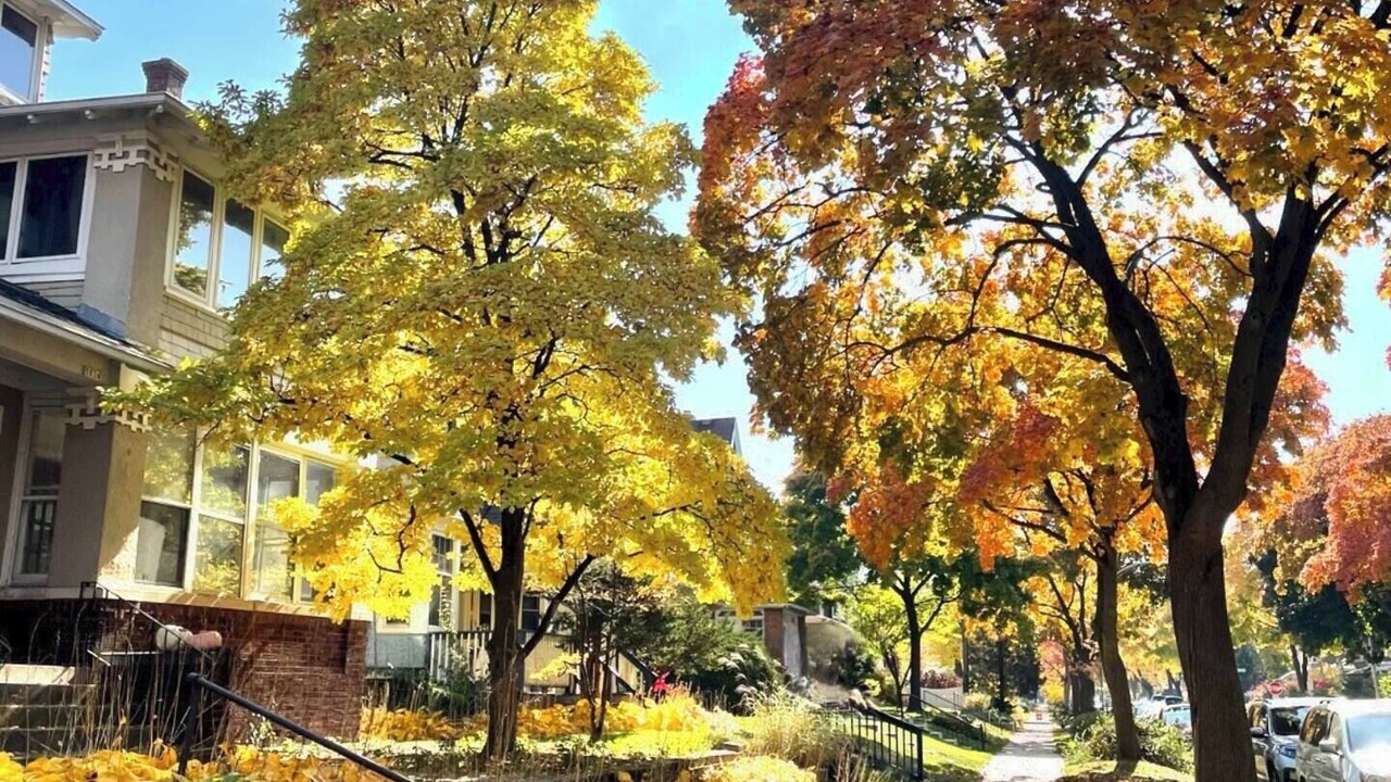 Photo of Others in Upper East Side