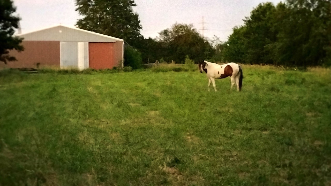 Photo of Outdoor in Remington