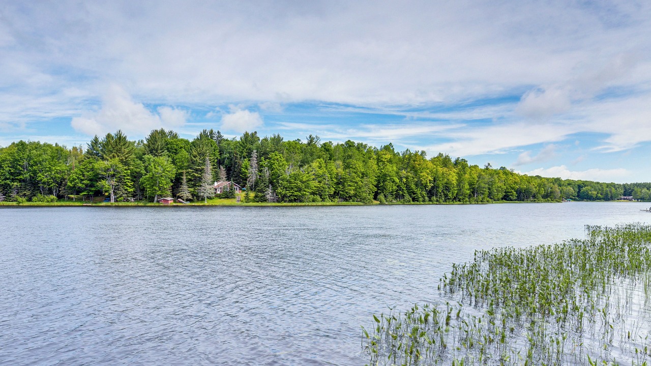 Photo of Outdoor in Eagle River