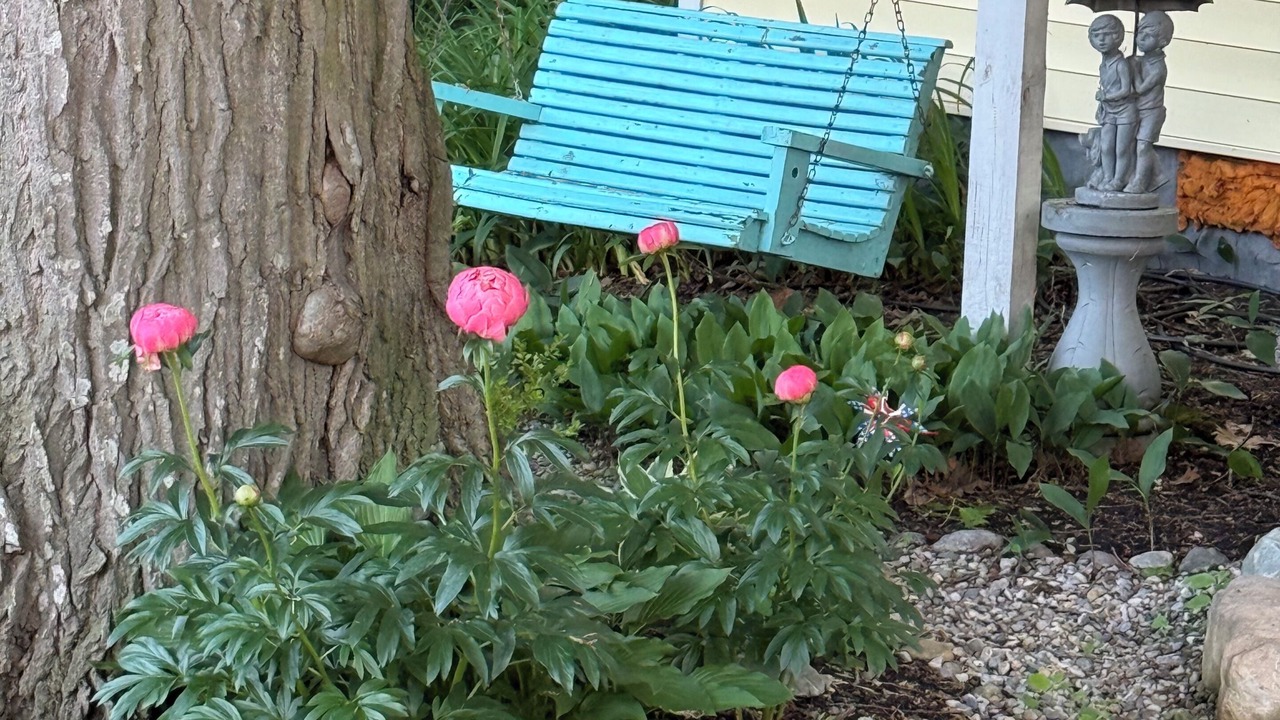 Photo of Outdoor in Fremont
