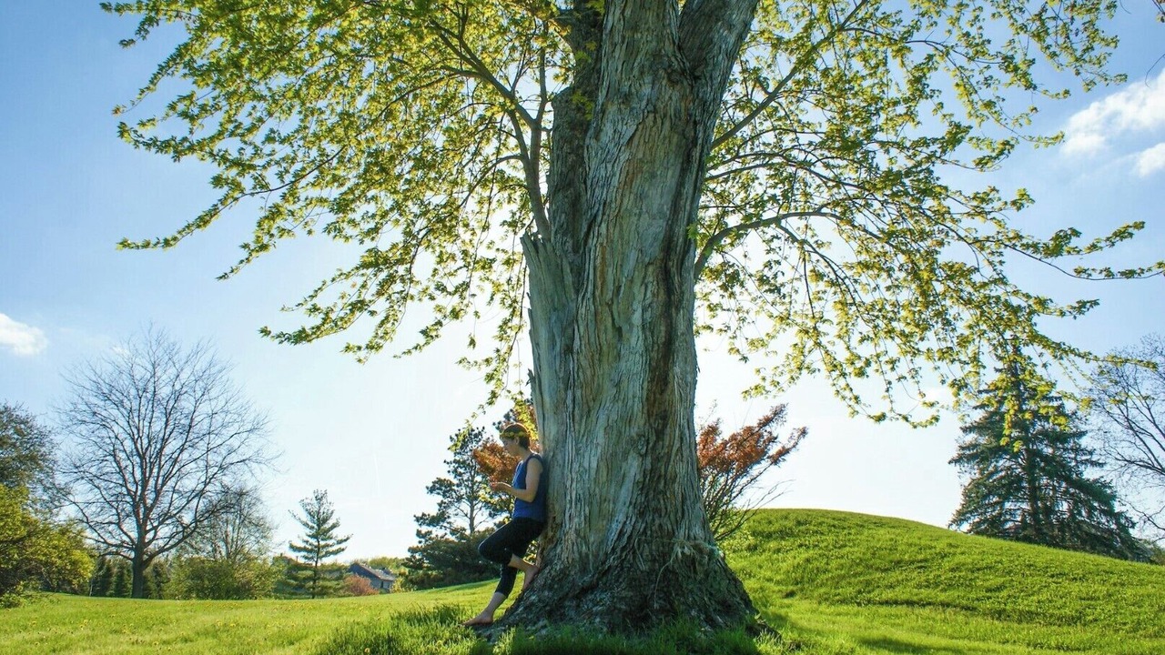 Photo of Others in Moline