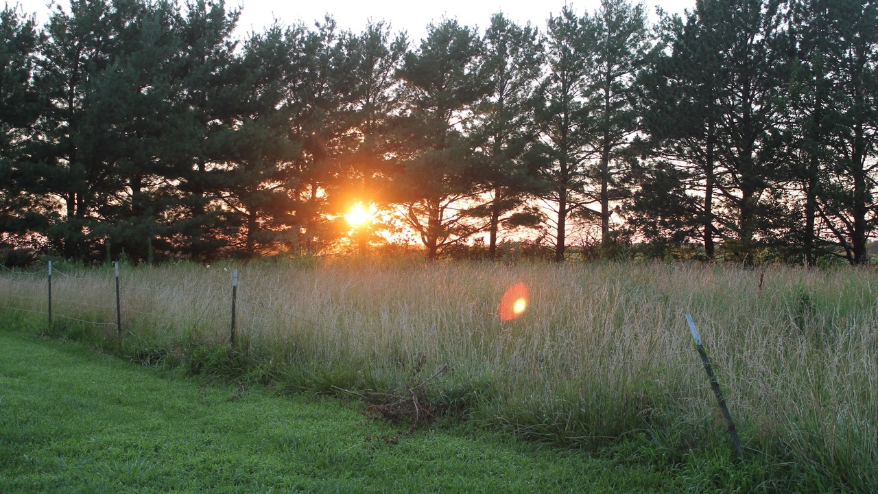Photo of Outdoor in Fairport