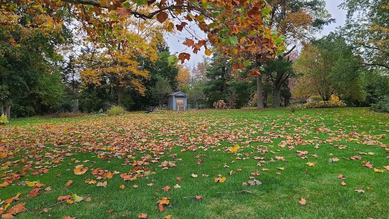 Photo of Outdoor in Wasco