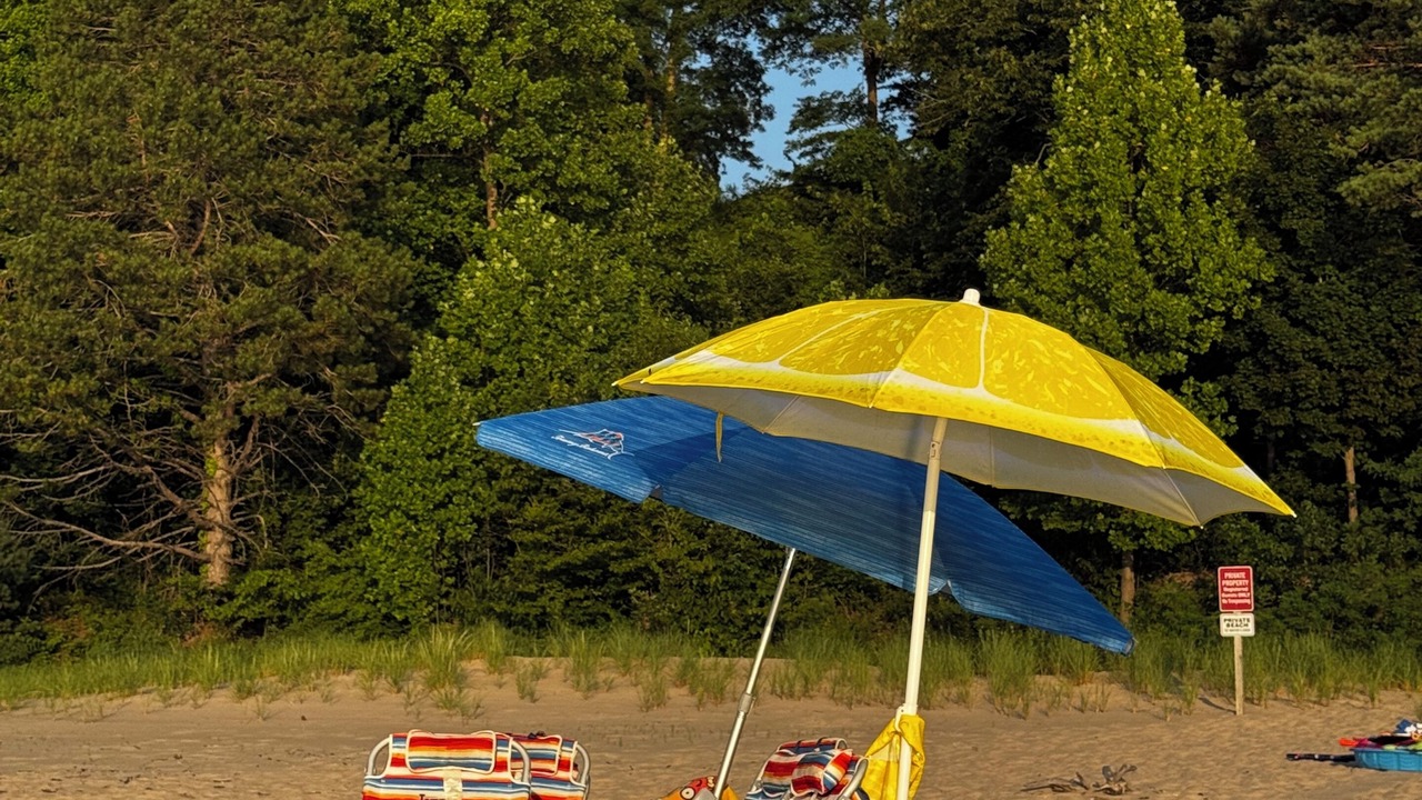 Photo of Others in Lakeside