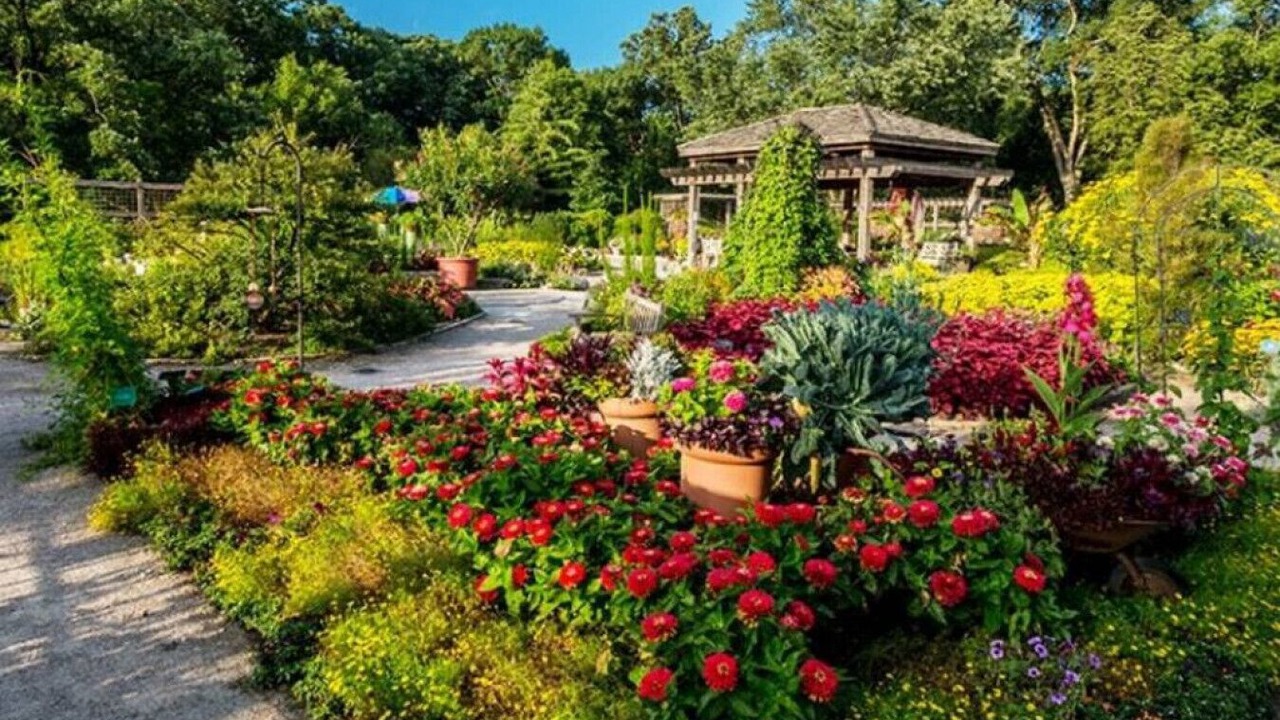 Photo of Outdoor in Glen Ellyn