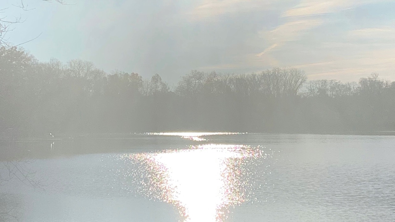 Photo of Others in Commerce Township