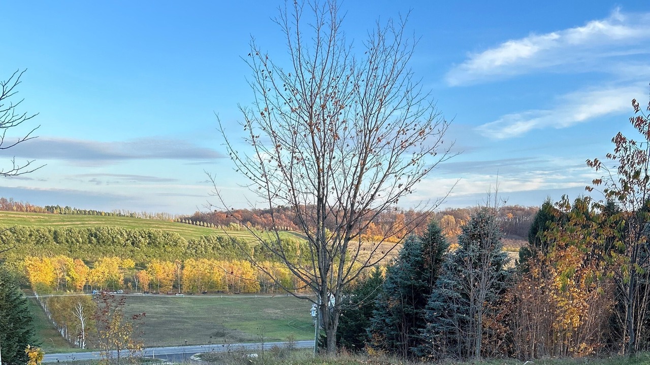 Photo of Outdoor in Suttons Bay