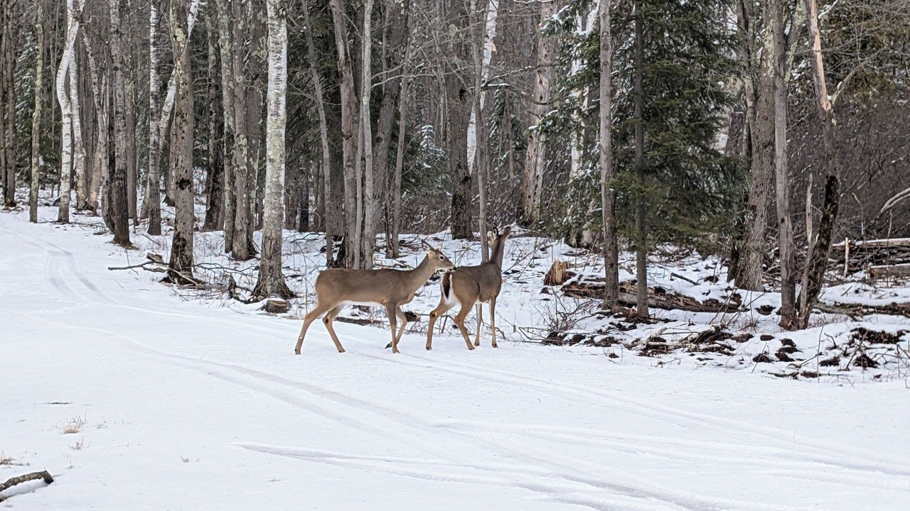 Photo of Others in Oneida County