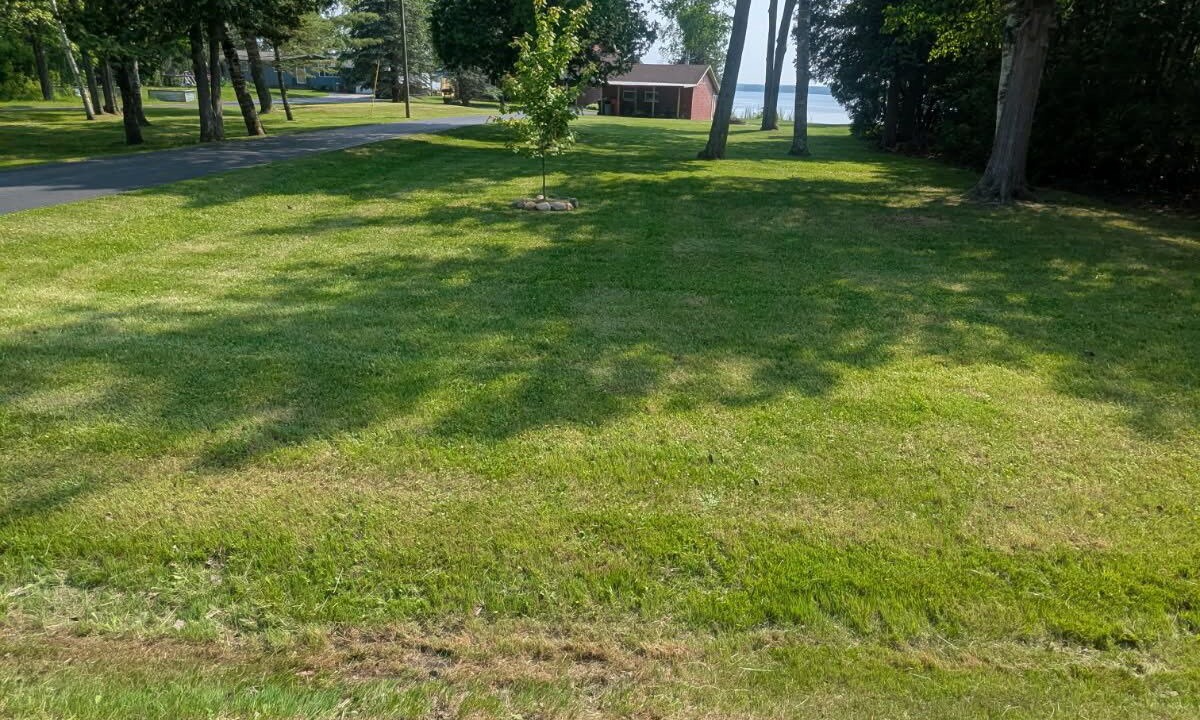 Photo of Outdoor in Alpena