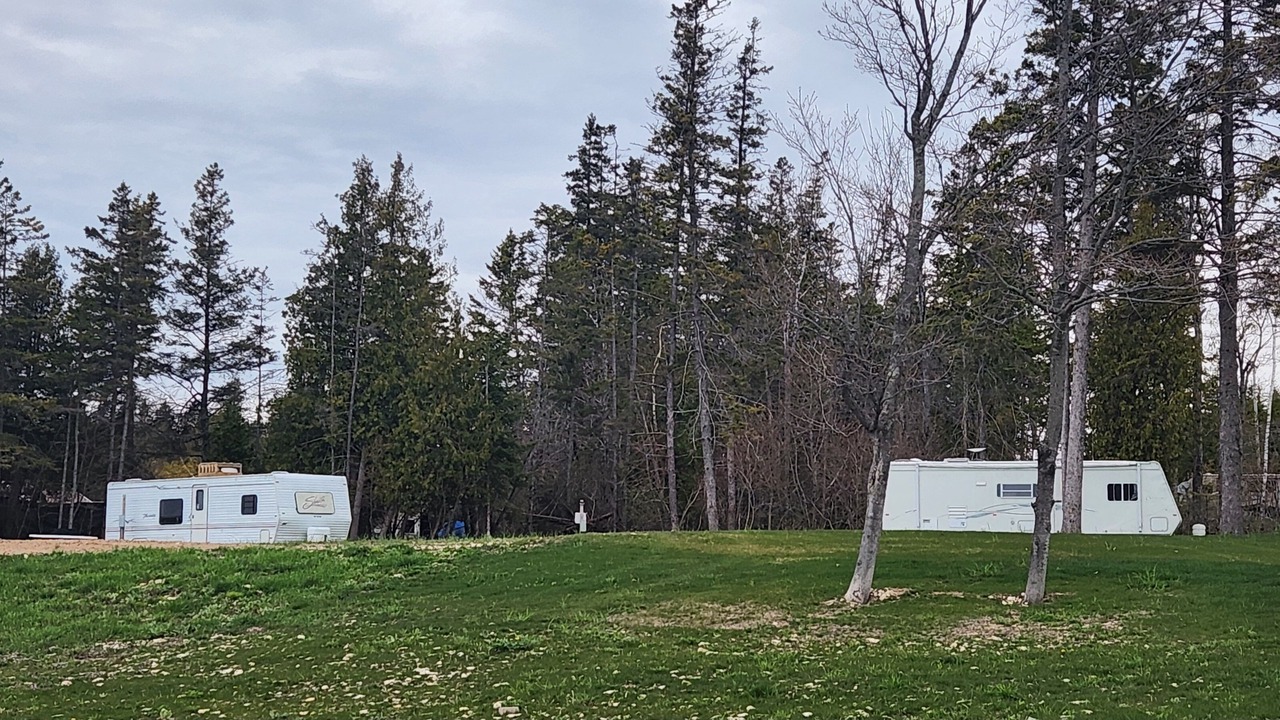 Photo of Outdoor in Garden