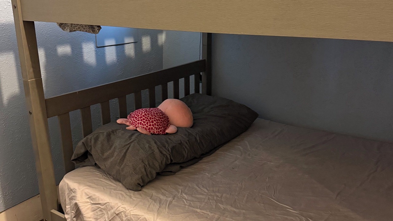 Photo of Bedroom in Nims