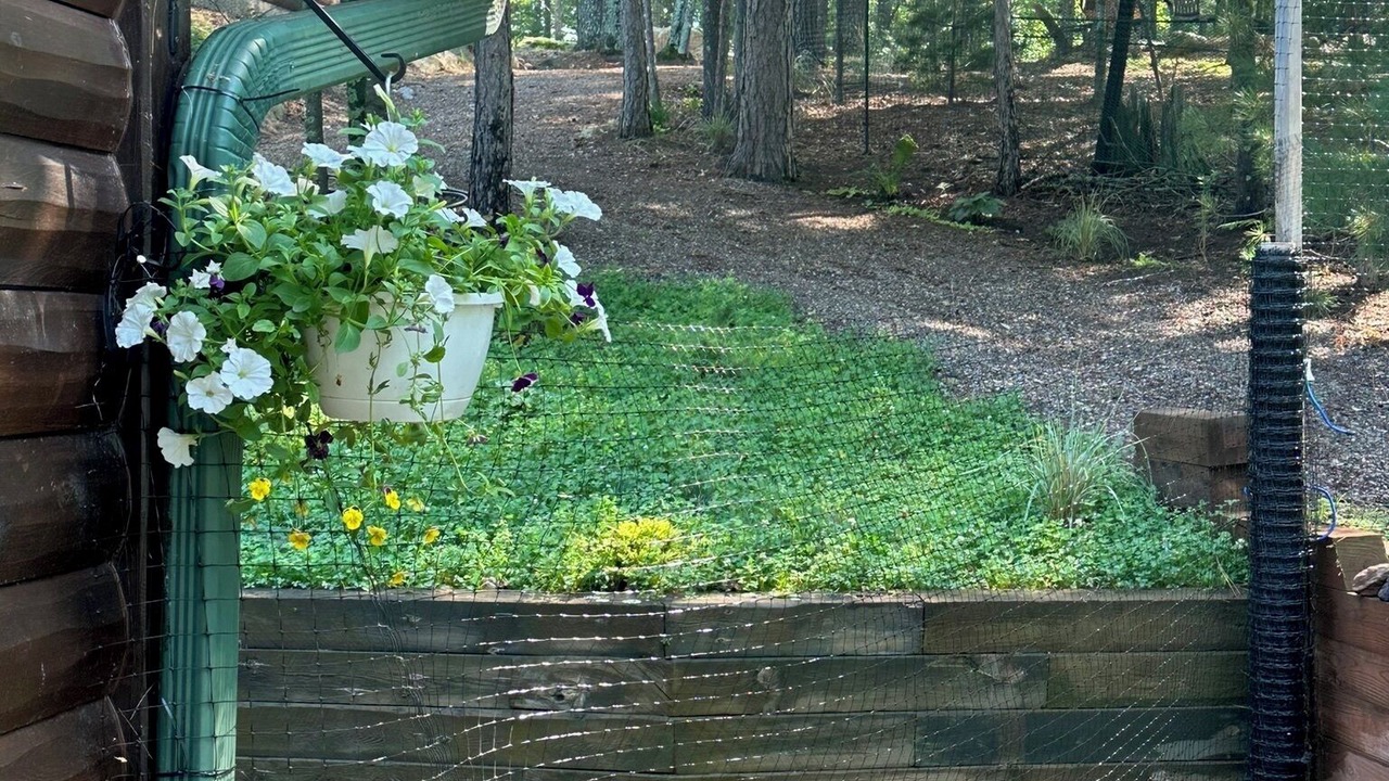 Photo of Outdoor in Eagle River