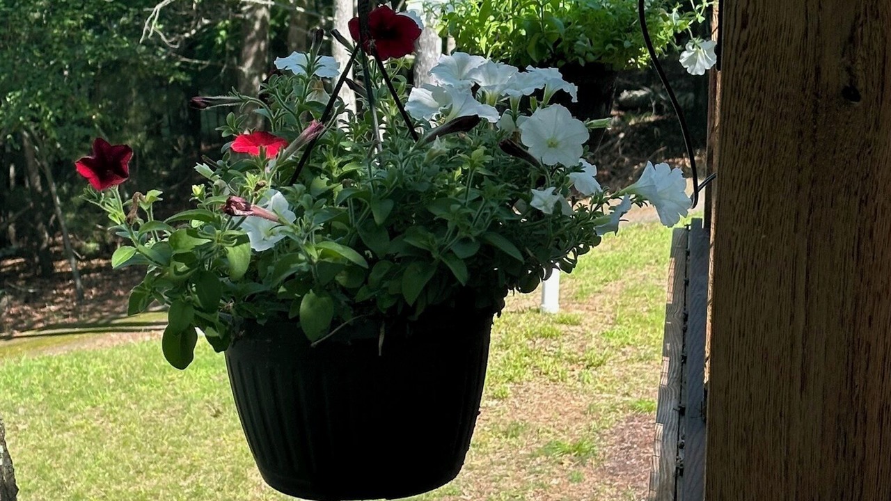 Photo of Outdoor in Eagle River