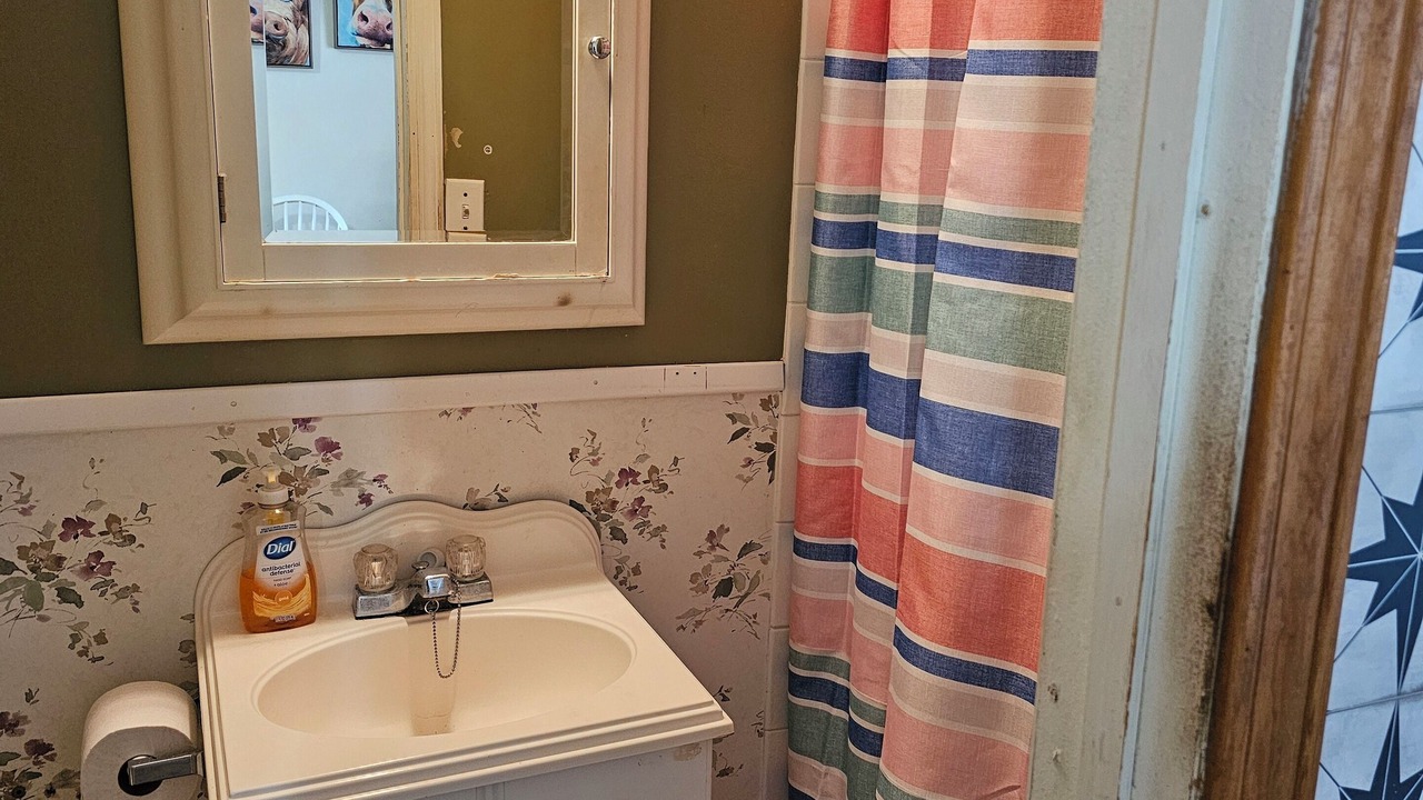 Photo of Bathroom in Newaygo