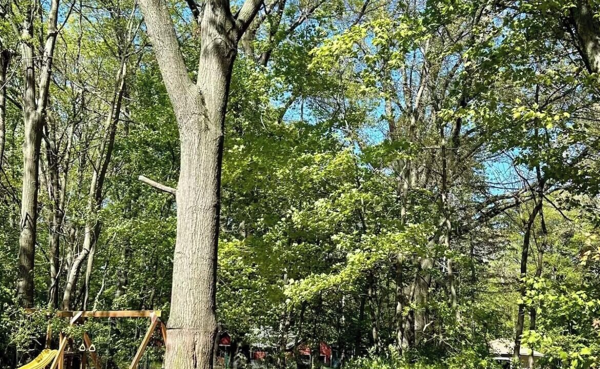 Photo of Outdoor in Whitehall
