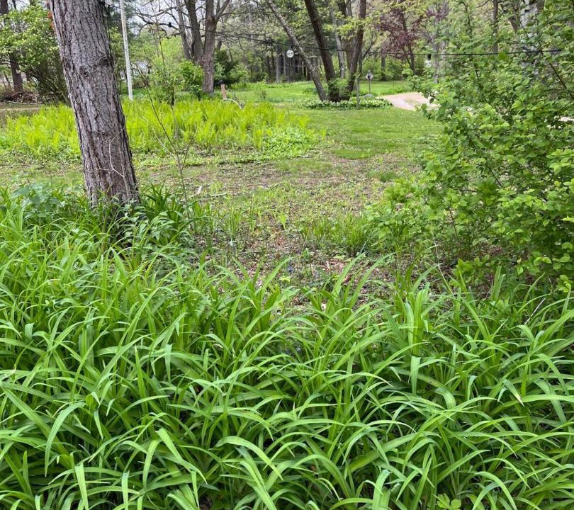 Photo of Others in Rockford