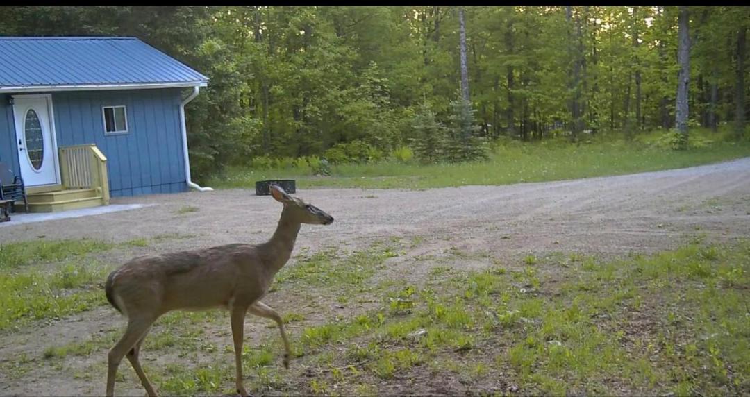 Photo of Others in Crandon