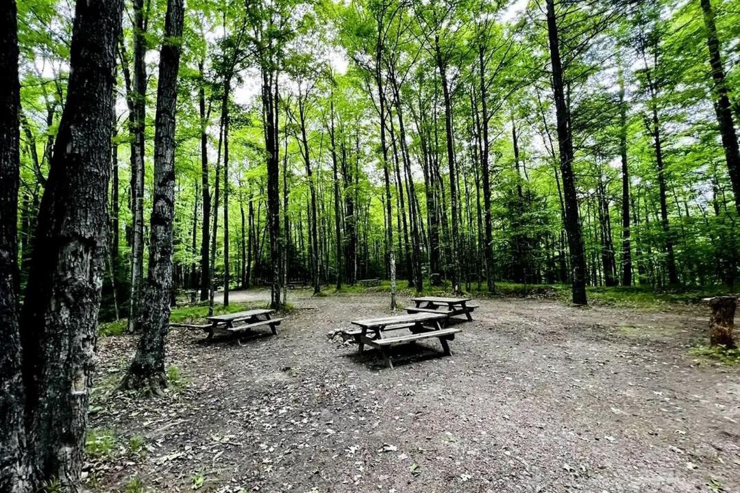 Photo of Others in White Lake