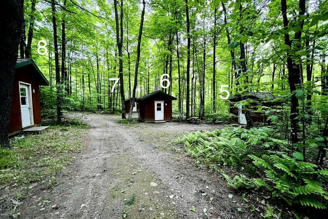 Photo of Others in White Lake