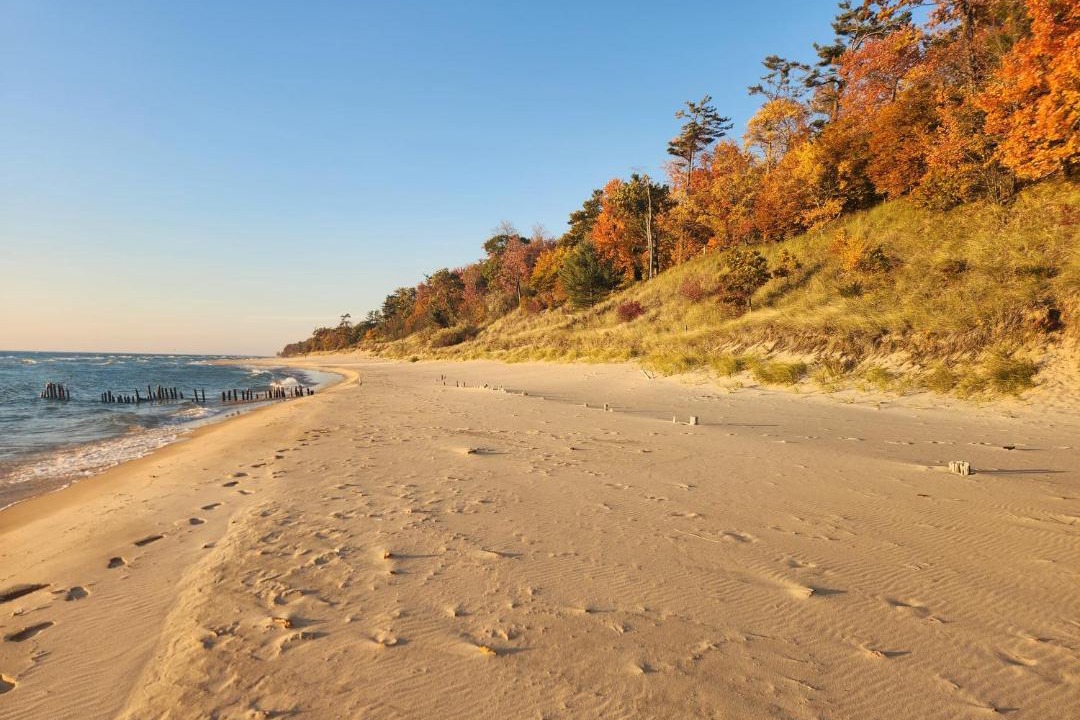 Photo of Others in Muskegon