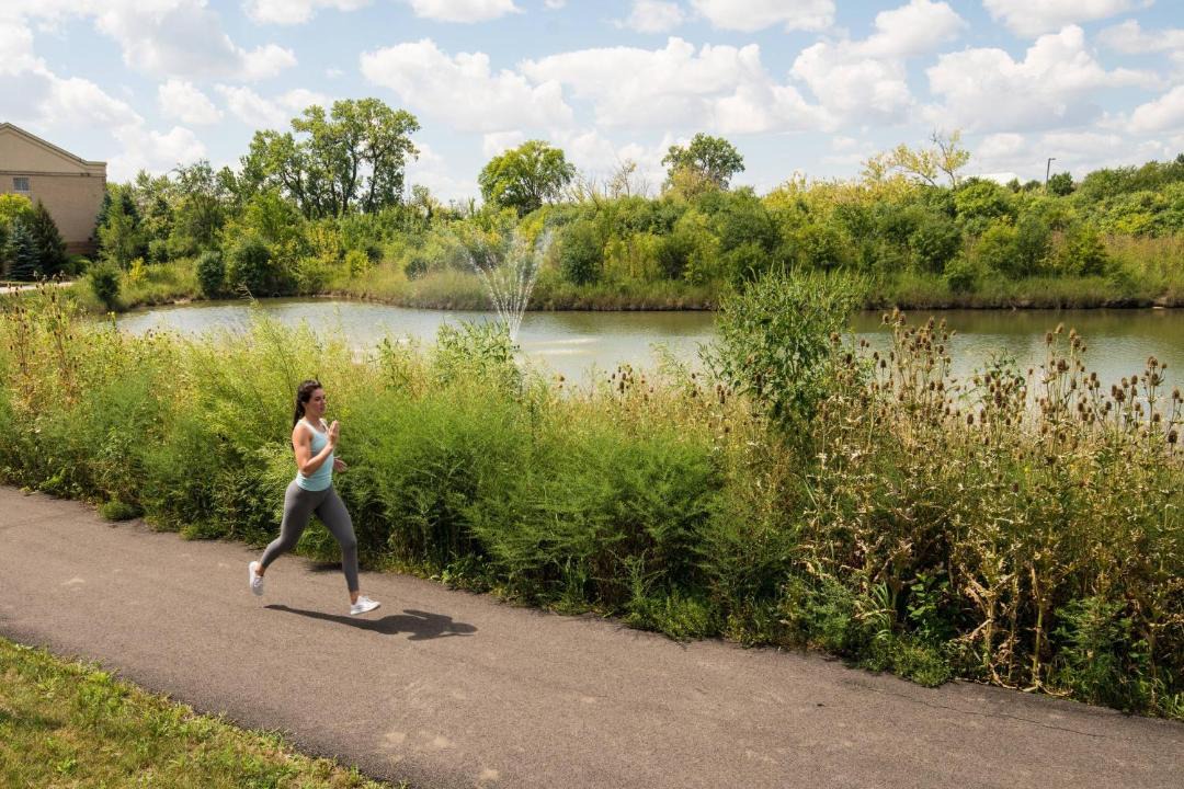 Photo of Others in Schaumburg