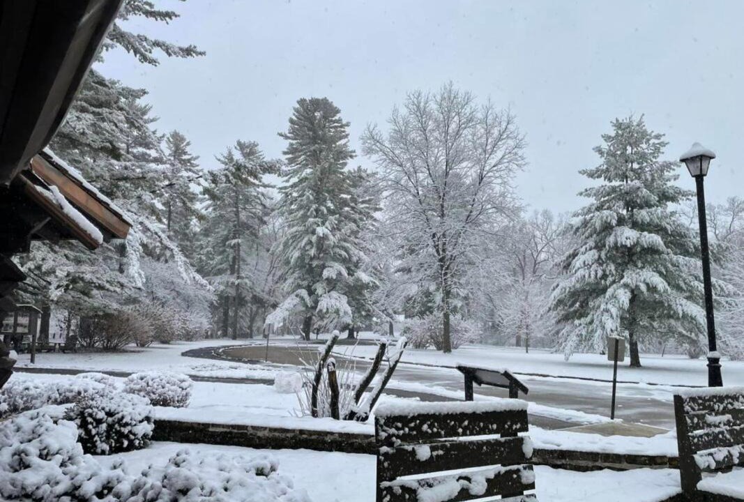 Photo of Others in Mount Morris