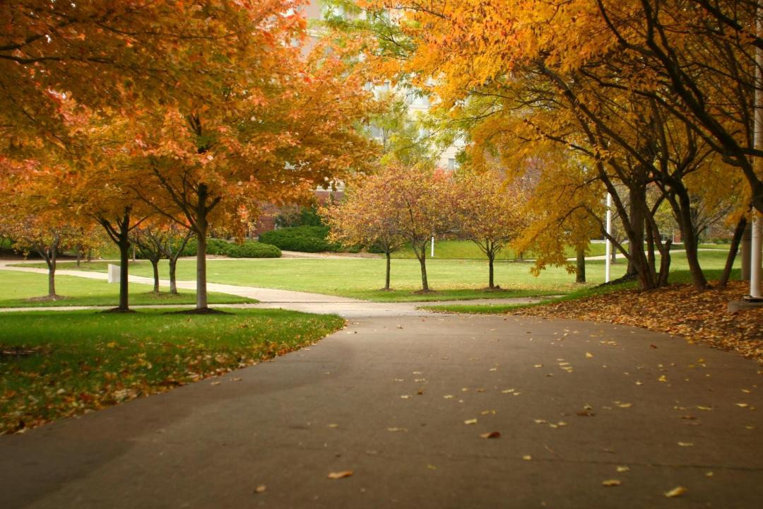 Photo of Others in Moline