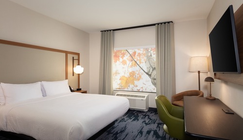 Room, 1 King Bed, Hearing Accessible (Roll-in Shower)