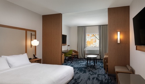 Suite, 1 King Bed with Sofa bed