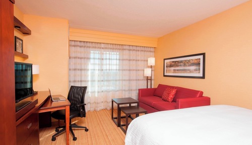 Room, 1 King Bed