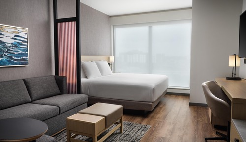 Room, 1 King Bed with Sofa bed (High Floor)