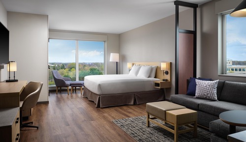 Room, 1 King Bed with Sofa bed, Accessible, Bathtub