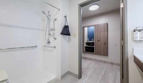 Room, 1 King Bed, Roll-in Shower (Communications, Roll-In Shower)