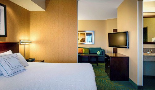 Studio, 1 King Bed with Sofa bed, Roll-in Shower