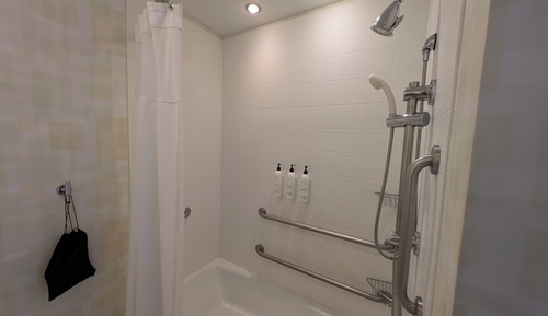 Studio, 1 King Bed with Sofa bed (Hearing Accessible)