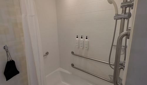 Studio, 1 King Bed with Sofa bed (Mobility/Hearing Access, Roll-In Shwr)