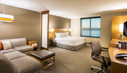Room, 1 King Bed with Sofa bed