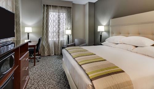 Room, 1 King Bed, Hearing Accessible (Roll in Shower)