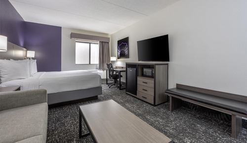 Standard Room, 1 King Bed, Non Smoking (Walk-in Shower;with Sofabed)
